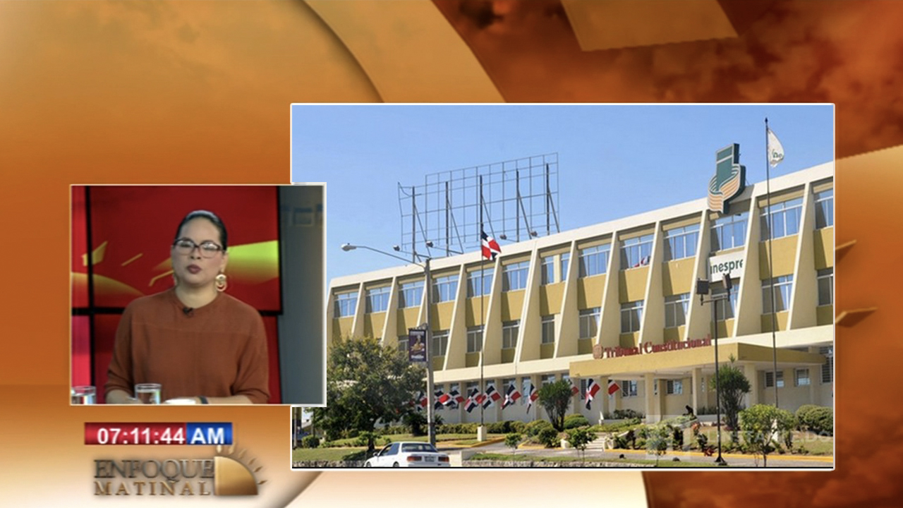 ¿Qué Modificó El Tribunal Constitucional A La Ley De Partidos?