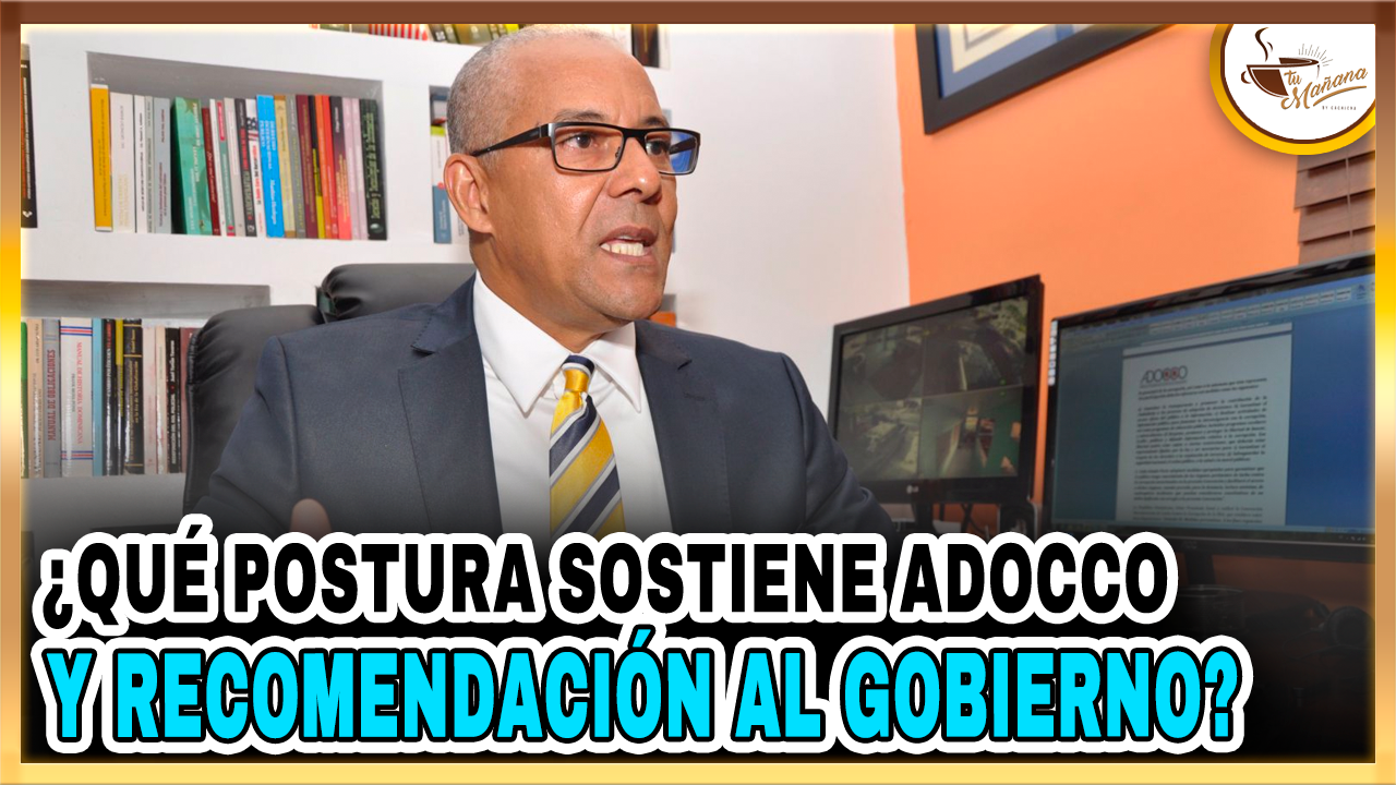 Julio César De La Rosa – ¿Qué Postura Sostiene ADOCO Y Recomendación Al Gobierno? | Tu Mañana By Cachicha