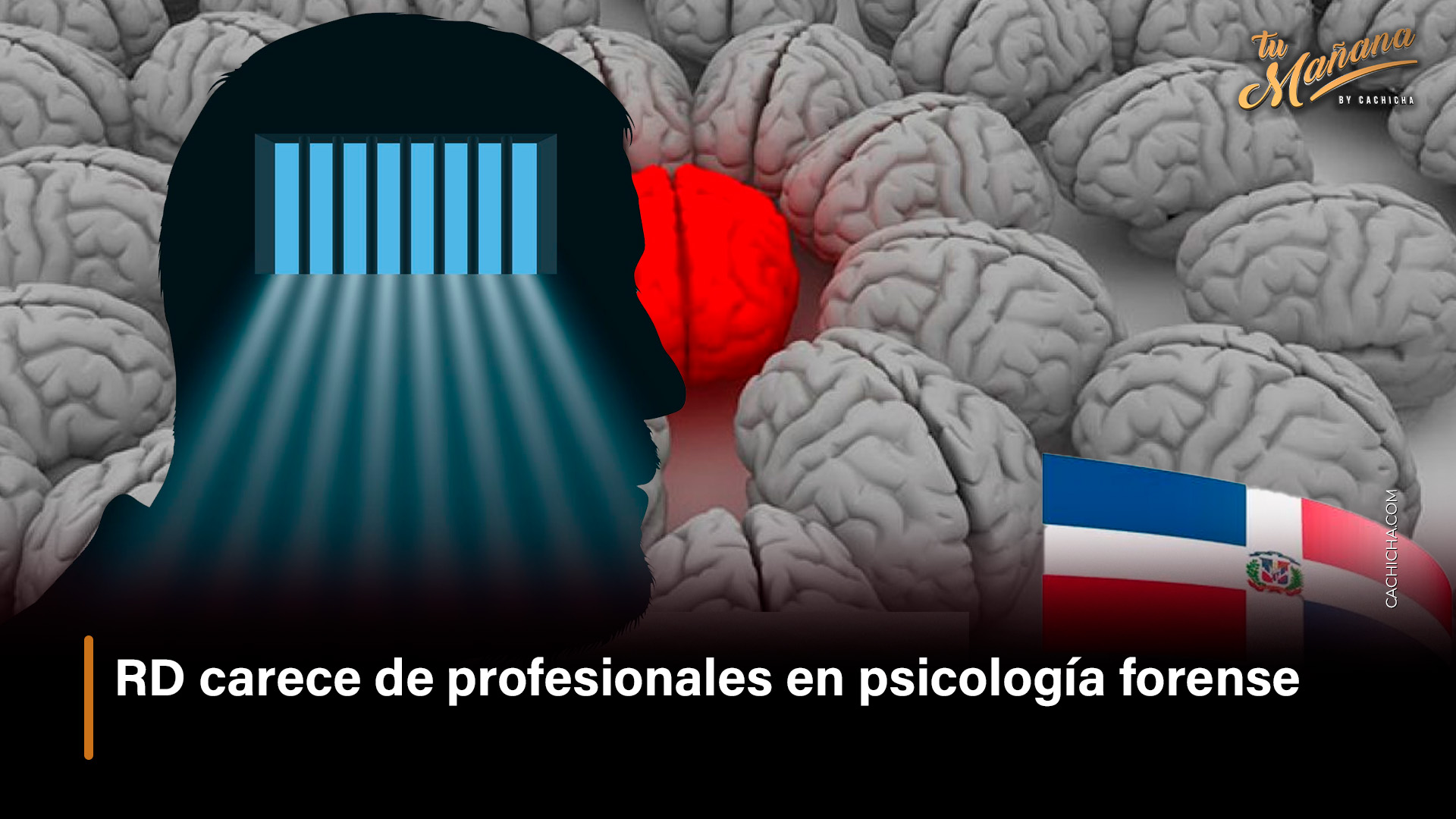 RD Carece De Profesionales En Psicología Forense