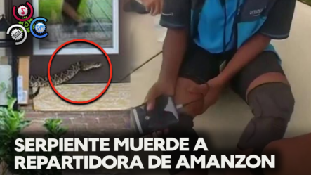 Serpiente De Cascabel MUERDE A Repartidora De Amazon Dejándola GRAVEMENTE HERIDA En Florida
