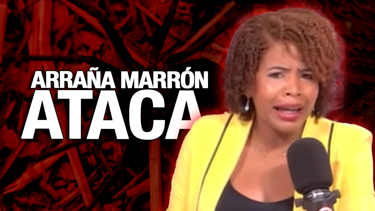 ¡REPÚBLICA DOMINICANA NO SALE DE UNA! ¡Araña Marrón Al Ataque!