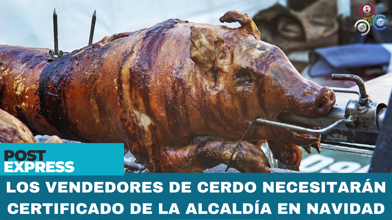 Los Vendedores De Cerdo Necesitarán Certificado De La Alcaldía En Navidad | Post Express