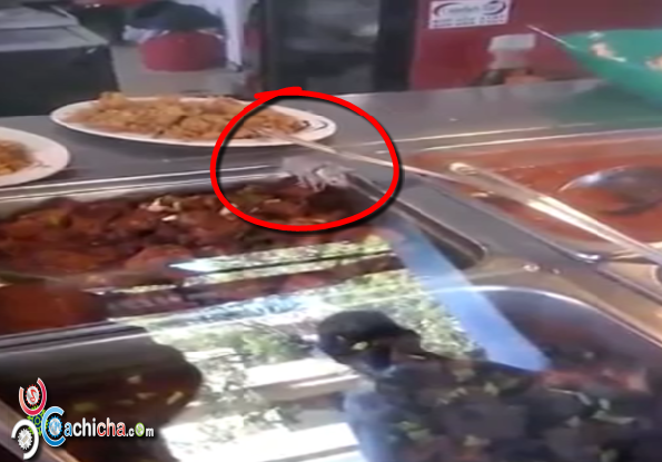 Video De Ratón En Mostrador De Pica Pollo Chino Causa Furor En Las Redes