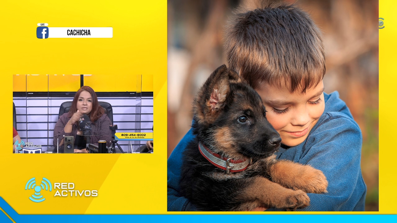 El Mejor Amigo Del Hombre Tiene Su Día Especial