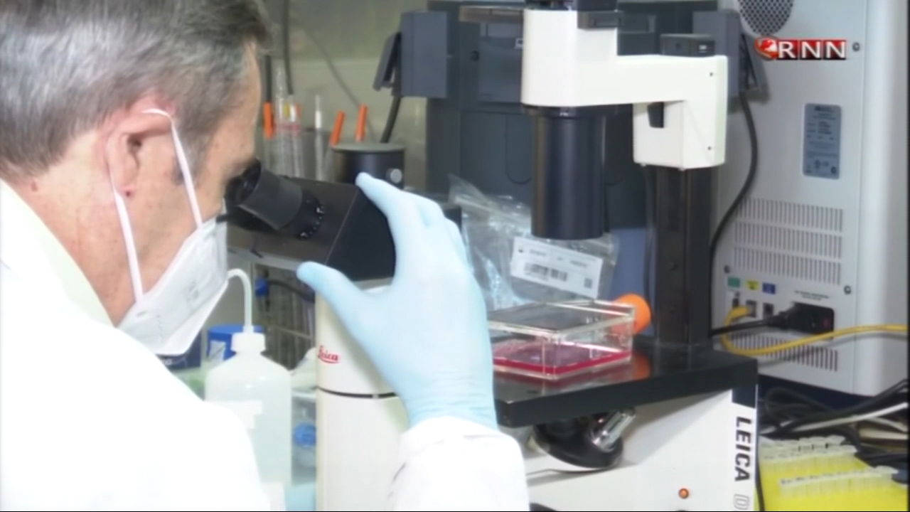 OMS Dice Que La Vacuna Contra El COVID-19 Se Aplicaría En El 2021