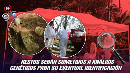 Recuperan 23 Cuerpos Sin Identificar De Una Fosa Común En Ciudad De México