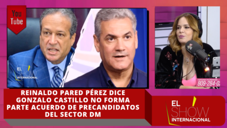 Reinaldo Pared Pérez Dice Gonzalo Castillo No Forma Parte Acuerdo De Precandidatos Del Sector DM