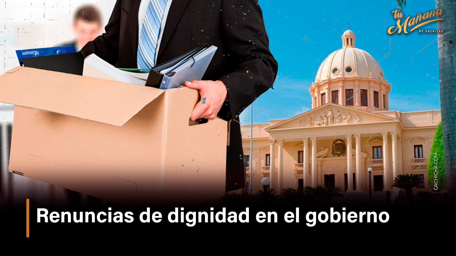 Renuncias De Dignidad En El Gobierno De Abinader