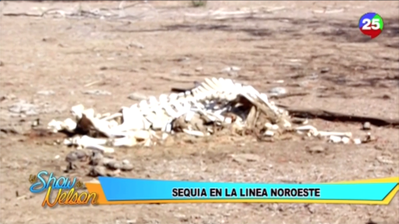 Reportaje Especial Sobre La Sequía En La Linea Noroeste En El Show De Nelson