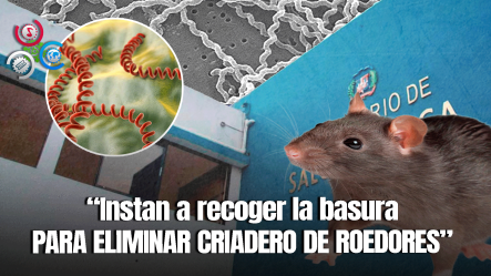Reportan Más De 100 Casos De Leptospirosis En 2025, Llaman A Reforzar La Higiene En Hogares Y Comunidades