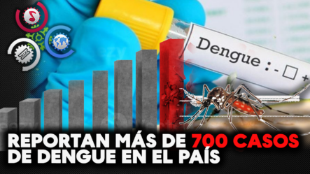 En Las últimas Semanas Reportan Más De 700 CASOS DE DENGUE En El País