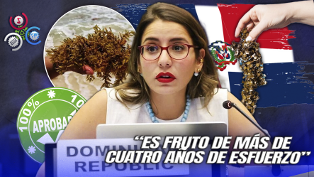 República Dominicana Logra Histórica Resolución En La ONU Para Enfrentar El Sargazo