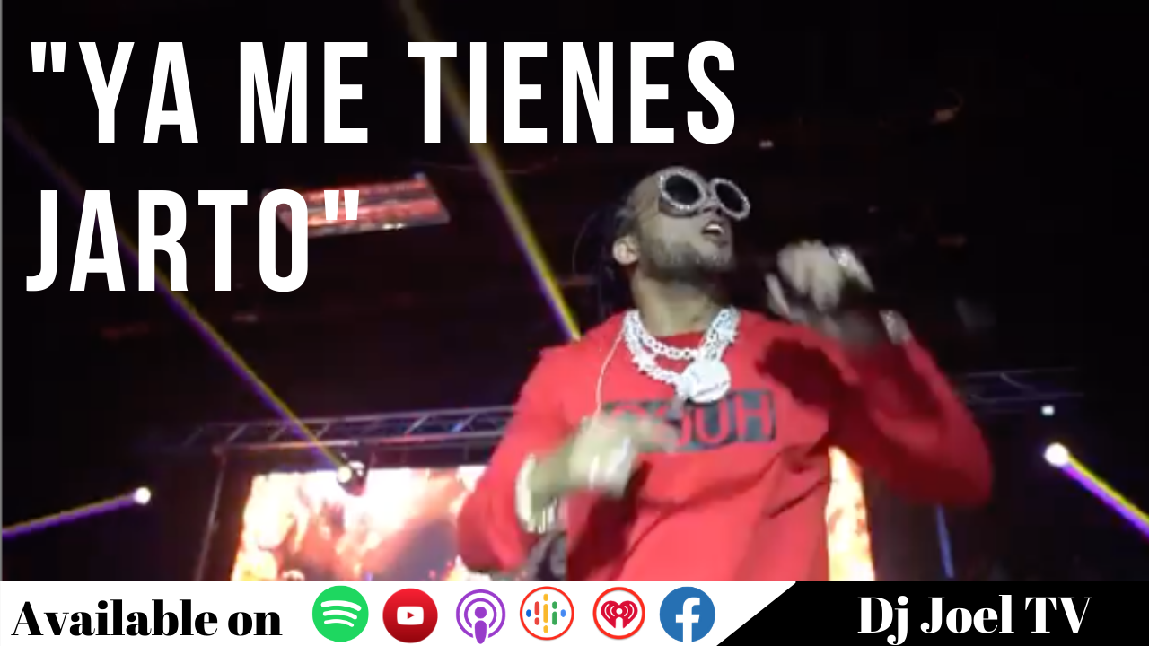 Respuesta De El Alfa Para Crazy Design