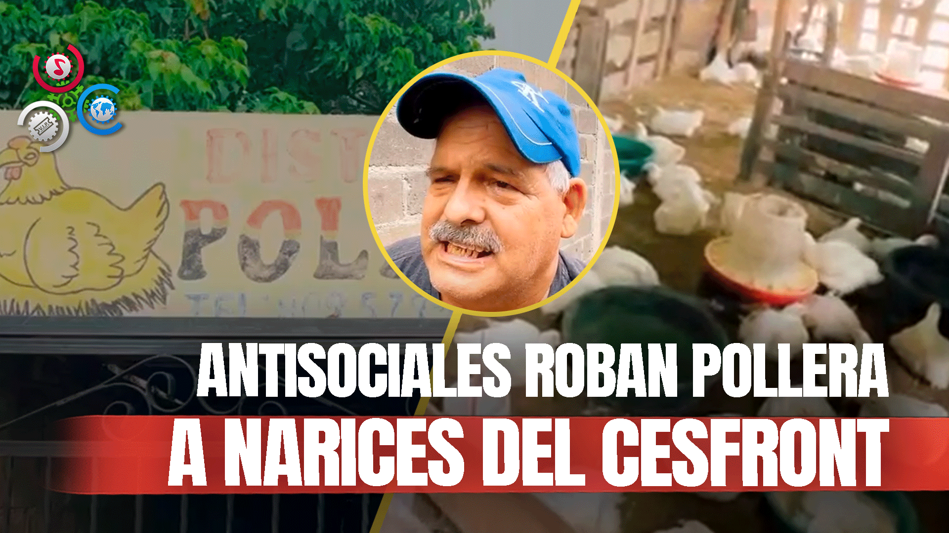 Desconocidos Sustraen Varios Objetos Y Pollos Tras Penetrar Una Pollera En Dajabón