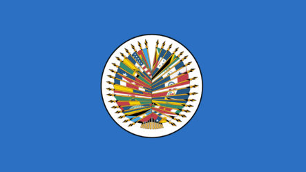 Informe De La OEA Ha Dejado Expuesta A La Clase Política Dominicana