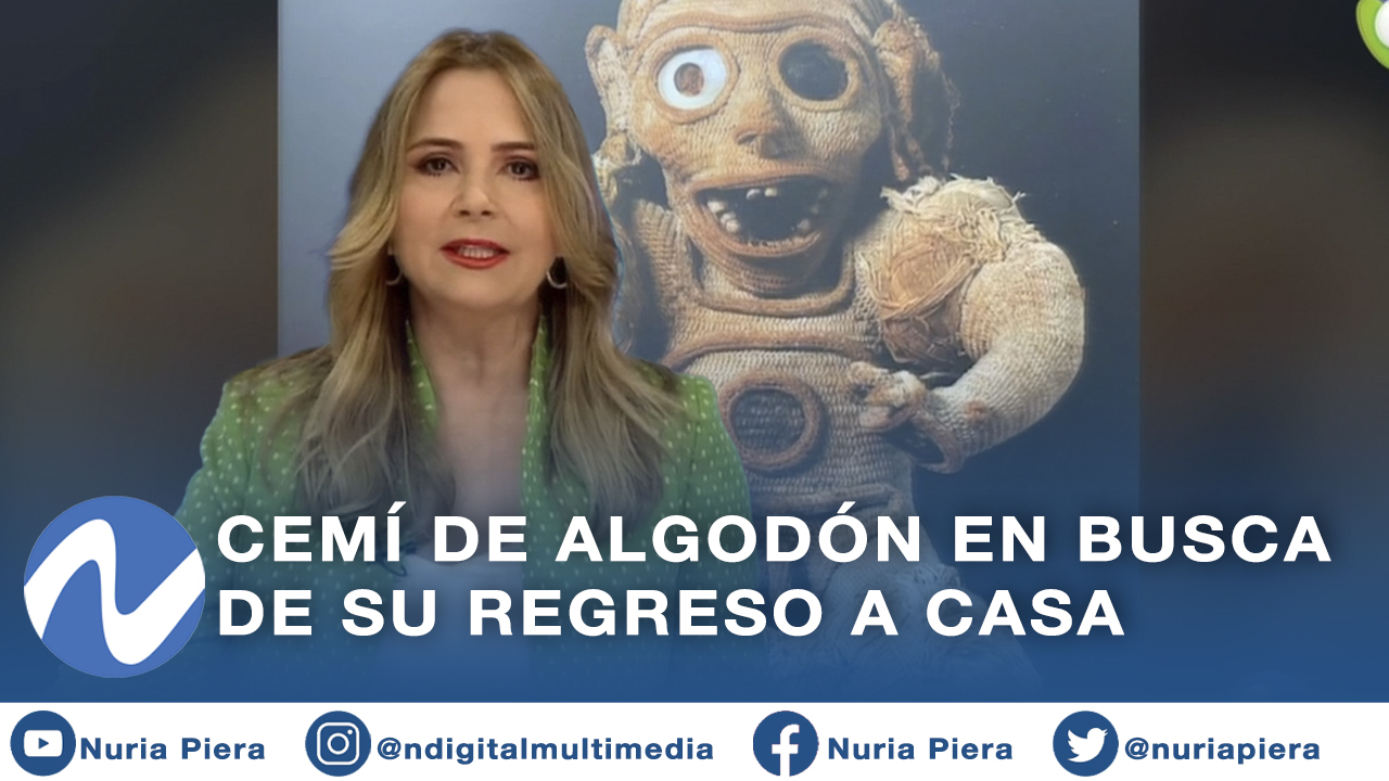 Cemí De Algodón En Busca De Su Regreso A Casa