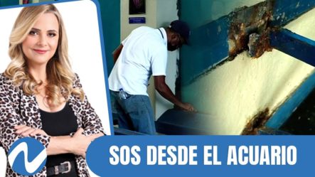 SOS Desde El Acuario | Nuria Piera