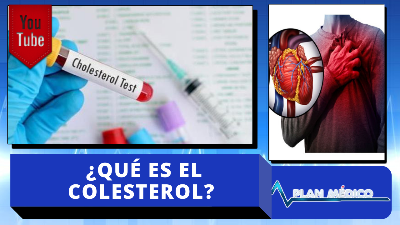 ¿Qué Es El Colesterol?
