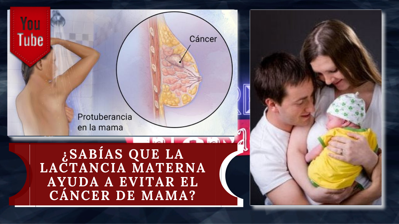 ¿Sabías Que La Lactancia Materna Ayuda A Evitar El Cáncer De Mama, Ovario Y De útero?