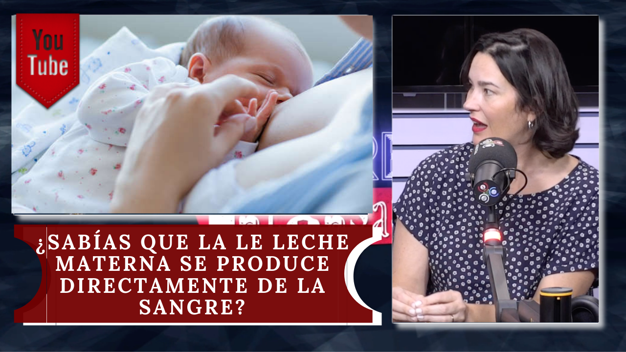 ¿Sabías Que La Leche Materna Se Produce Directamente De La Sangre?