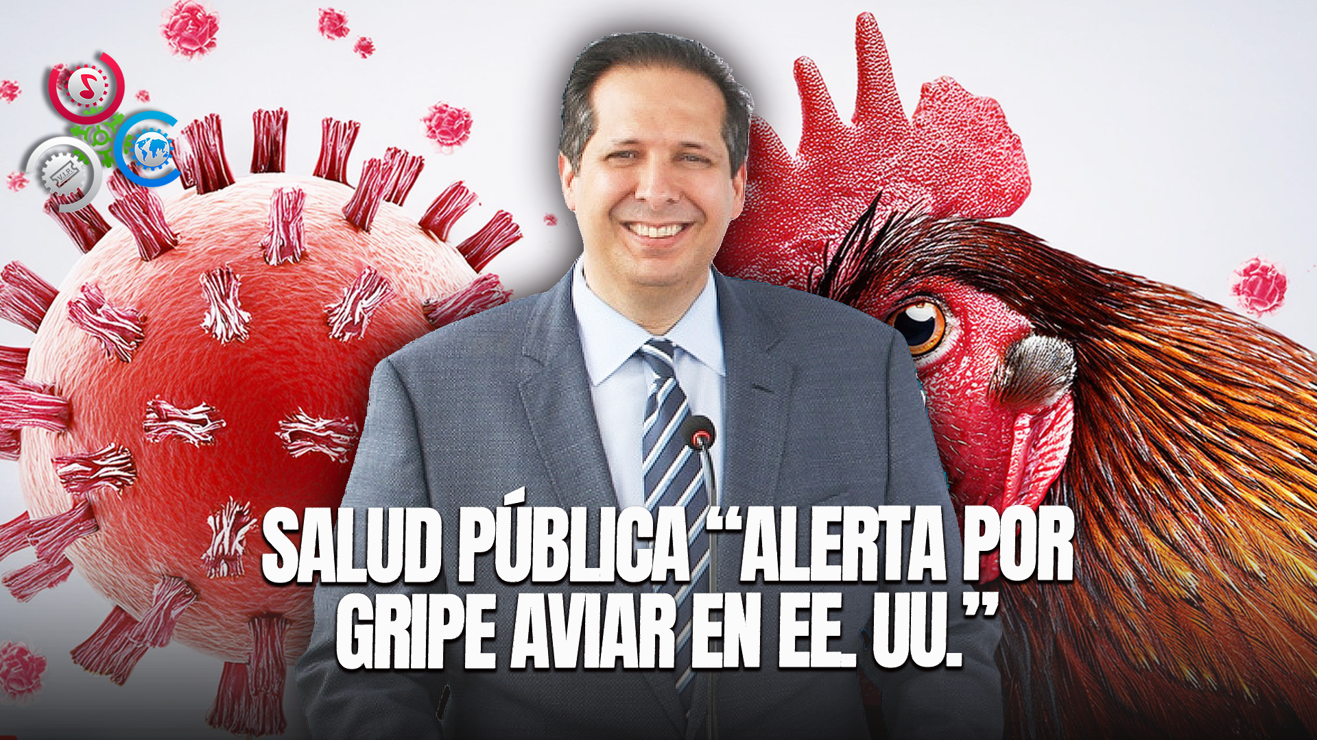 Salud Pública Activa Alerta Por Gripe Aviar Detectada En EEUU