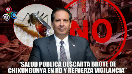 Salud Pública Asegura Que No Hay Brote De Chikungunya