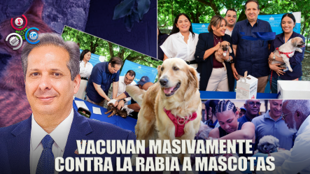 Salud Pública Inicia Jornada De Vacunación Contra La Rabia Para Perros Y Gatos