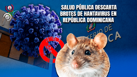 Salud Pública Mantiene Vigilancia Epidemiológica Ante Circulación Internacional De Hantavirus
