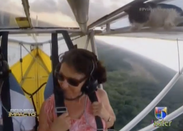 Gato Sorprende A Dos Personas Que Daban Un Paseo En Una Aeronave #Video