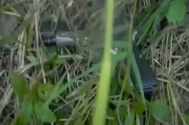 Captado En Video Un Supuesto Delincuente En Santiago