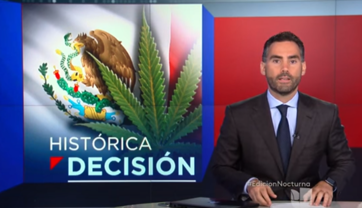 Reacciones Por La Legalización De La Marihuana En México #Video