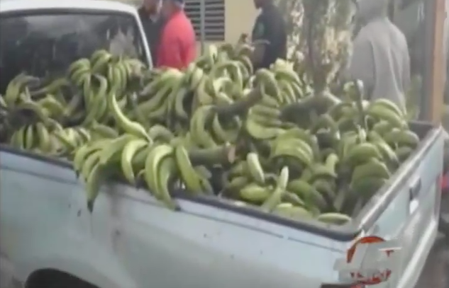 Ladrón Intenta Escapar Con Una Tremenda “Mina” De Plátanos #Video
