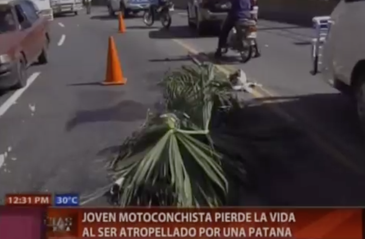 Joven Motoconchista Pierde La Vida Al Ser Atropellado Por Una Patana #Video