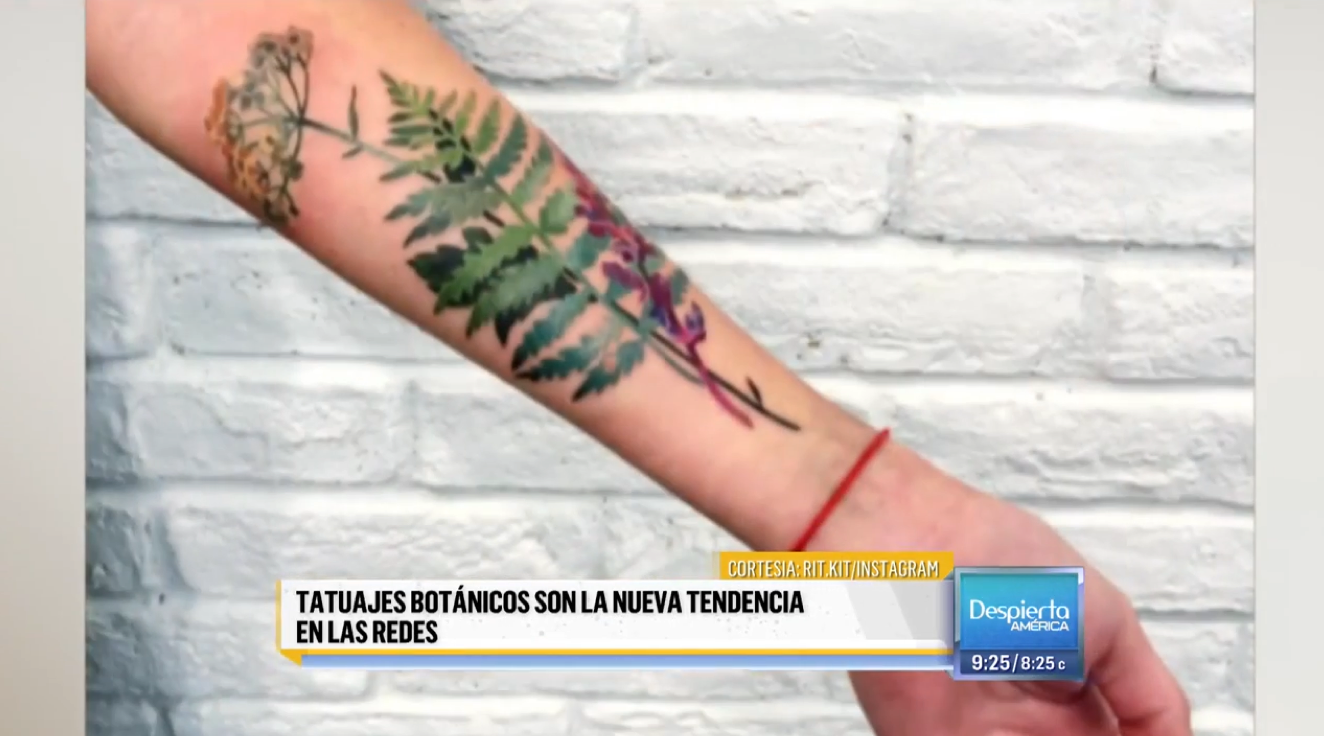 Tatuajes Botánicos Son La Nueva Tendencia En Las Redes