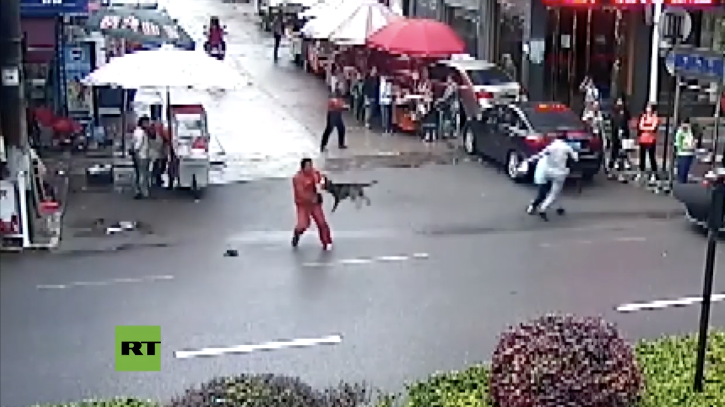 Perro Hiere A 23 Personas En China