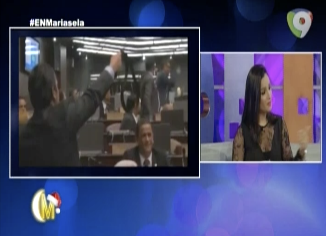 Mariasela Álvarez Critica Gesto Machista Contra Faride Raful