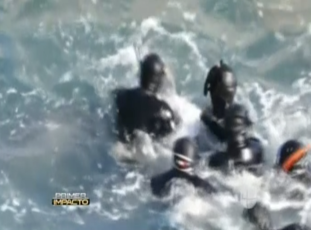Mira Como Hacen Los Traficantes De Delfines Para Separar A Los Bebes Delfín Para Venderlos A Parques Acuaticos