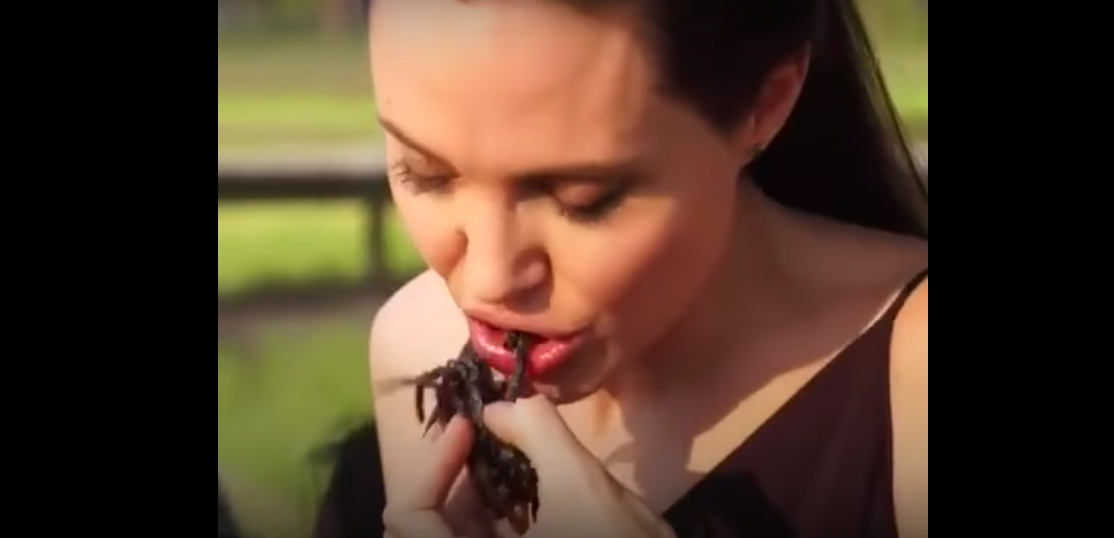 Angelina Jolie Enseña A Sus Hijos A Cocinar Y Comer Todo Tipo De Insectos