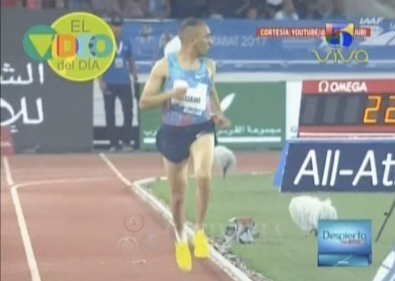 Estaba Tan Concentrado En La Carrera Que Nunca Vio Que  Estaba Solo