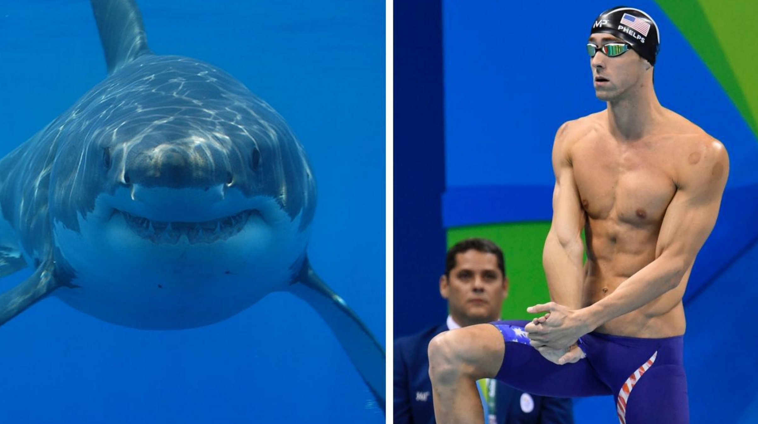 Michael Phelps Compite Con Un Tiburón Y Pierde El Duelo