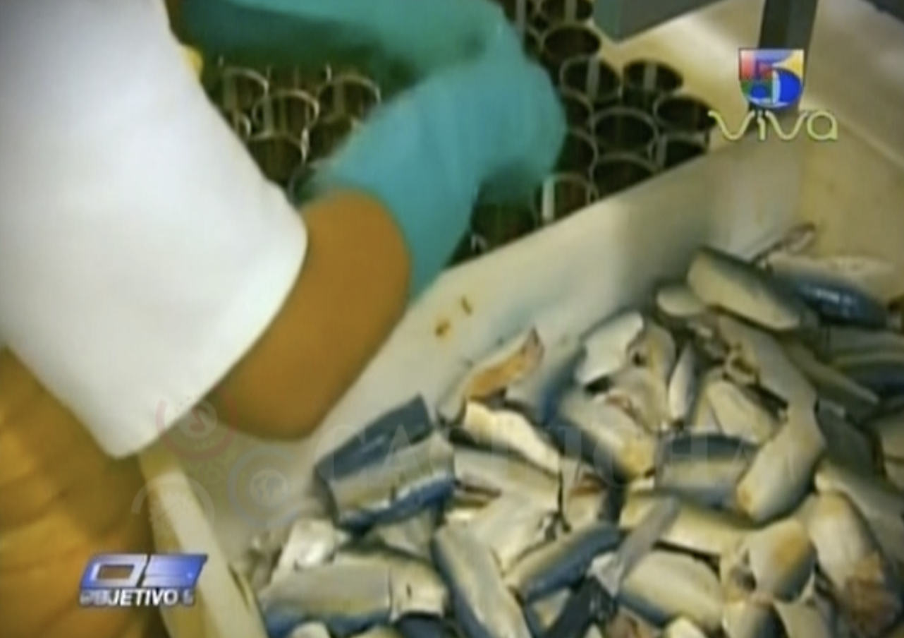 Así Es Como Se Hacen Las Sardinas En Lata.