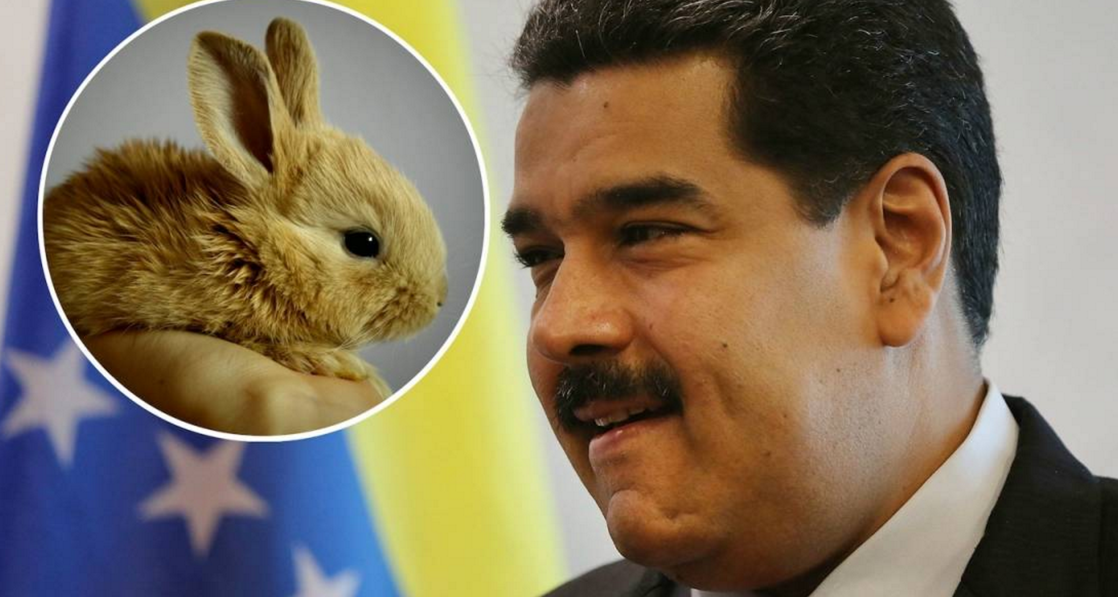 Maduro Muestra Al Mundo Que Si Tiene Problemas Mentales Serios: Pide A Familias Venezolanas Criar Conejos Para Luego Matarlos Y Comerlos