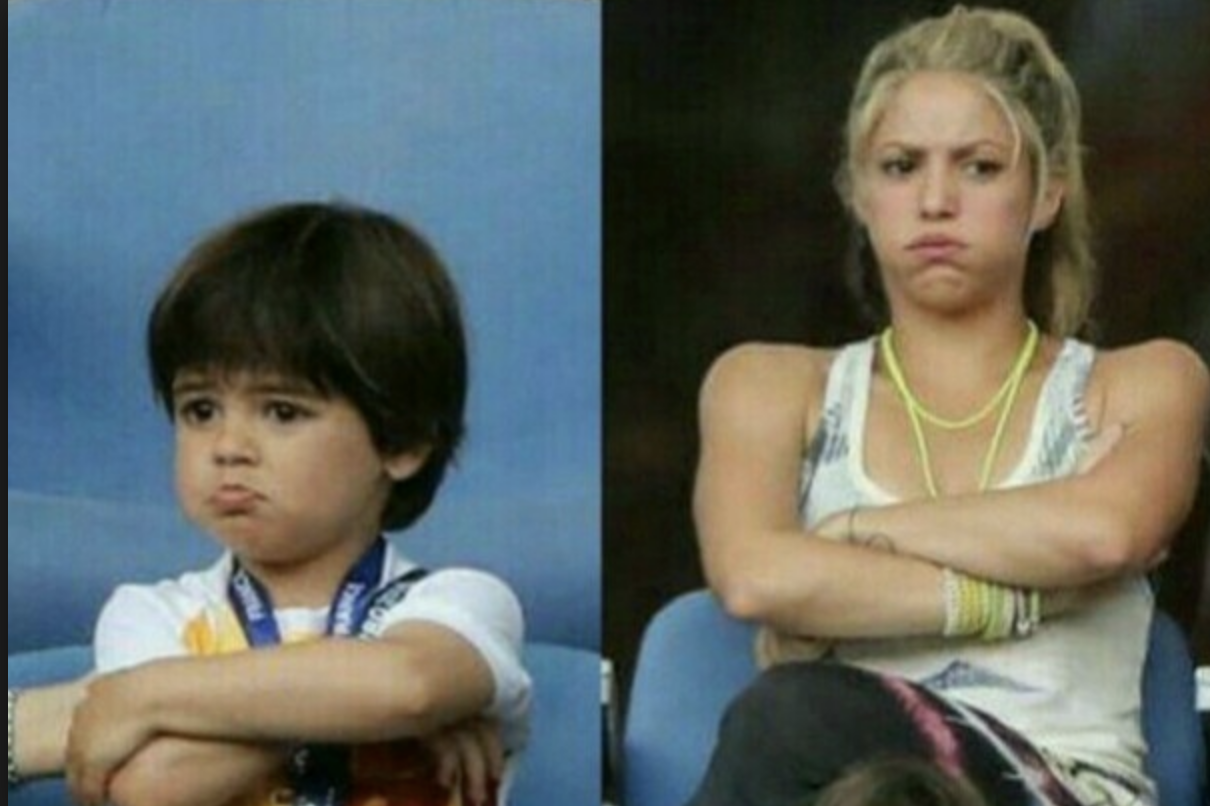 Shakira Y Piqué Tienen La Casa Llena De Ratas