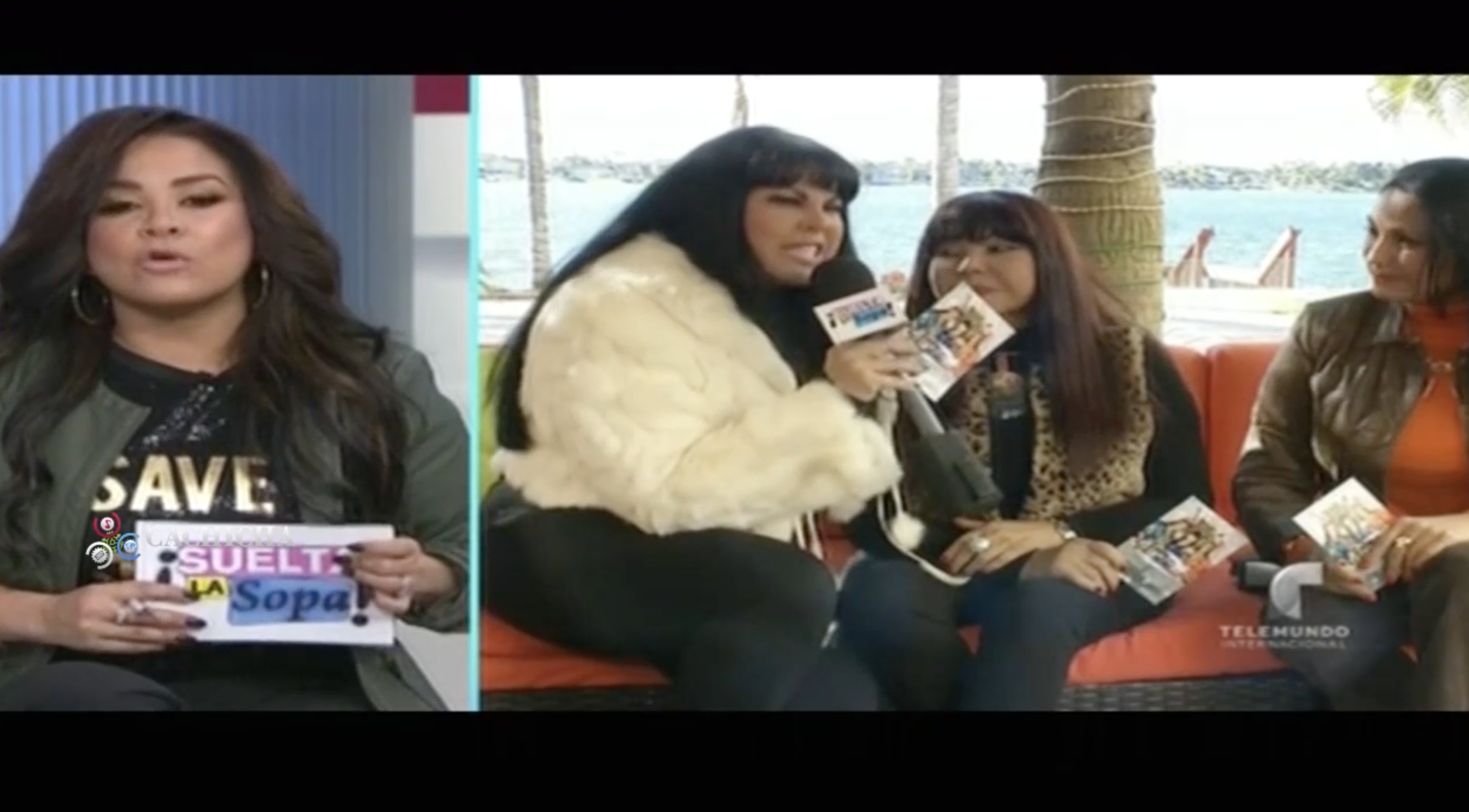 Las Hijas Del Puma Dicen Que Su Papá No Las Quiere Ver Y Que Ha Sido Difícil Para Ellas