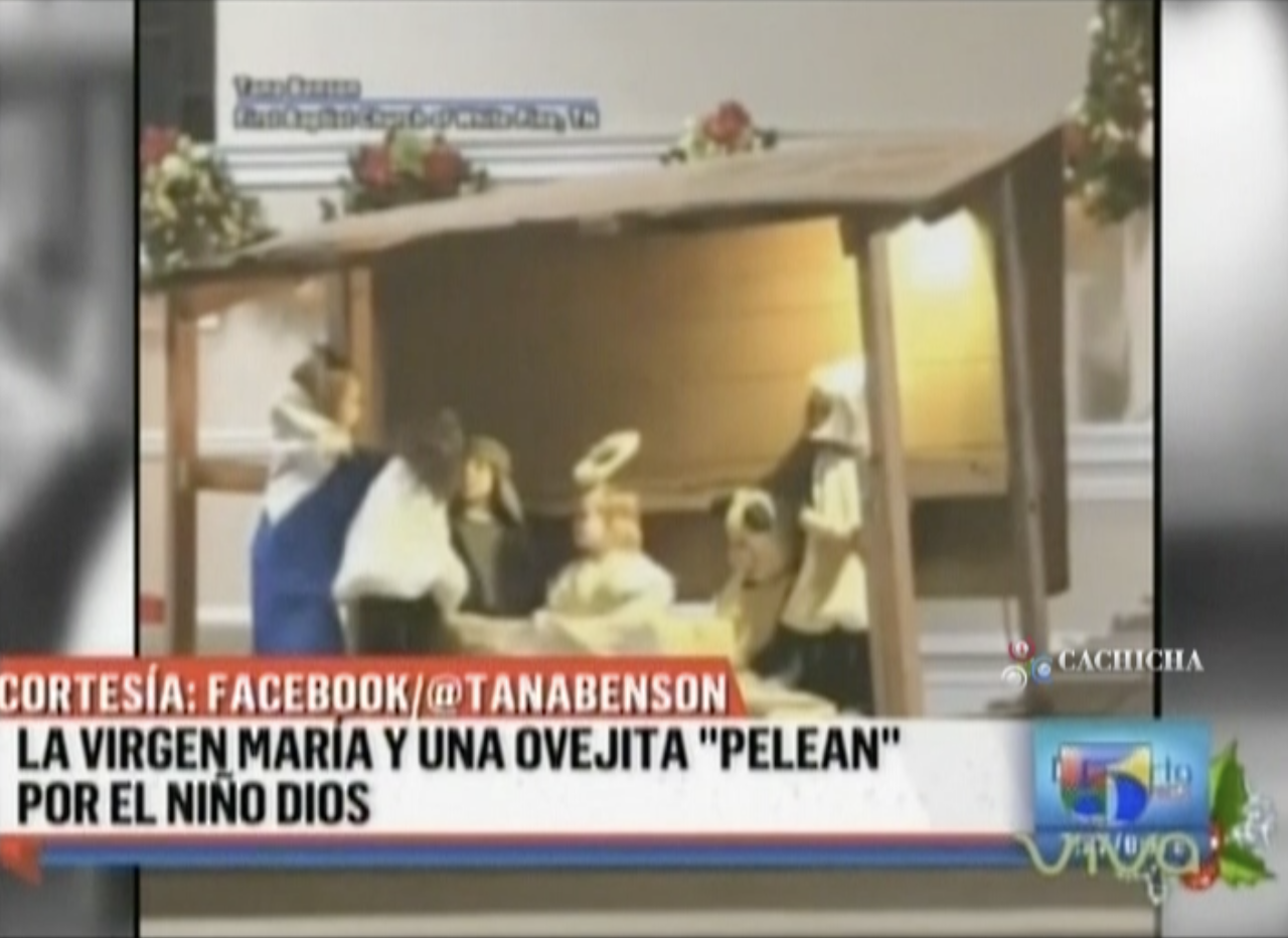La Virgen Maria Y Una Ovejita Se Pelean Por Cargar Al Niño Dios En Este Divertido Video