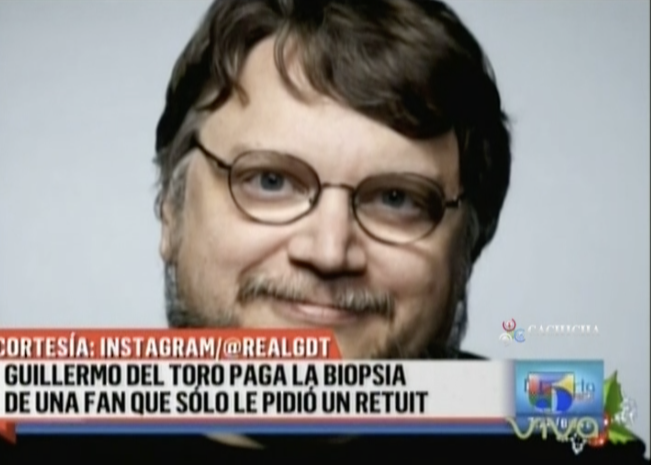 Guillermo Del Toro Paga La Biopsia Completa De Una Fan Que Solo Le Pidió Un Retweet