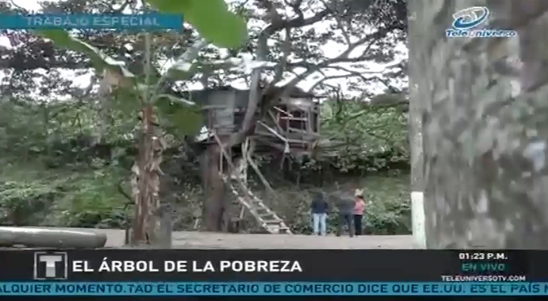 El Árbol De La Pobreza De La Familia Guzmán Hernández