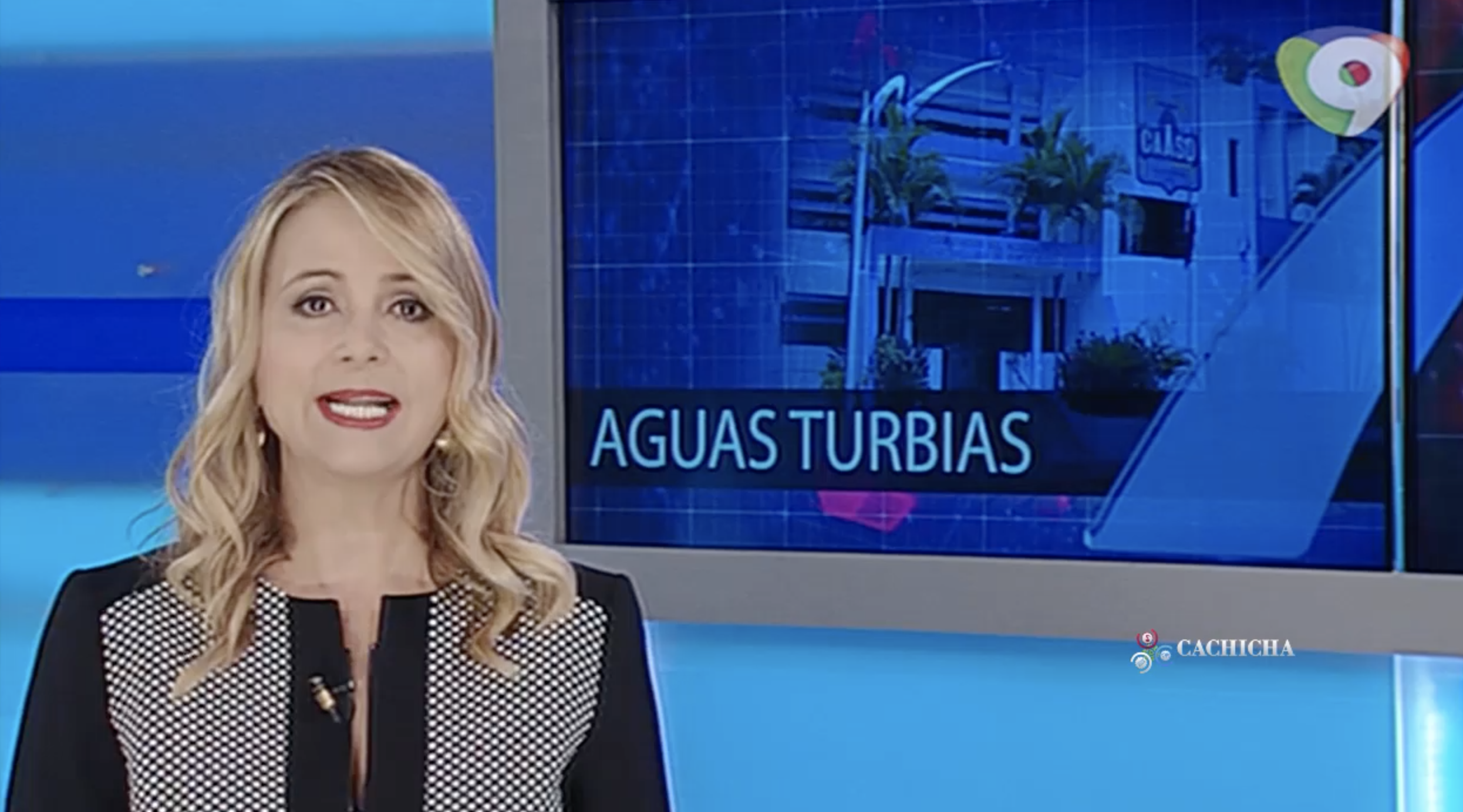 Nuria Piera: Siguen Saliendo A La Luz Nuevos Escándalos En Pagos De Nominas A Compañeritos De Caasd