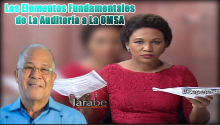 Edith Febles: Estos Son Los Elementos Fundamentales De La Auditoría A La OMSA Con El Dinero Del Pueblo Dominicano
