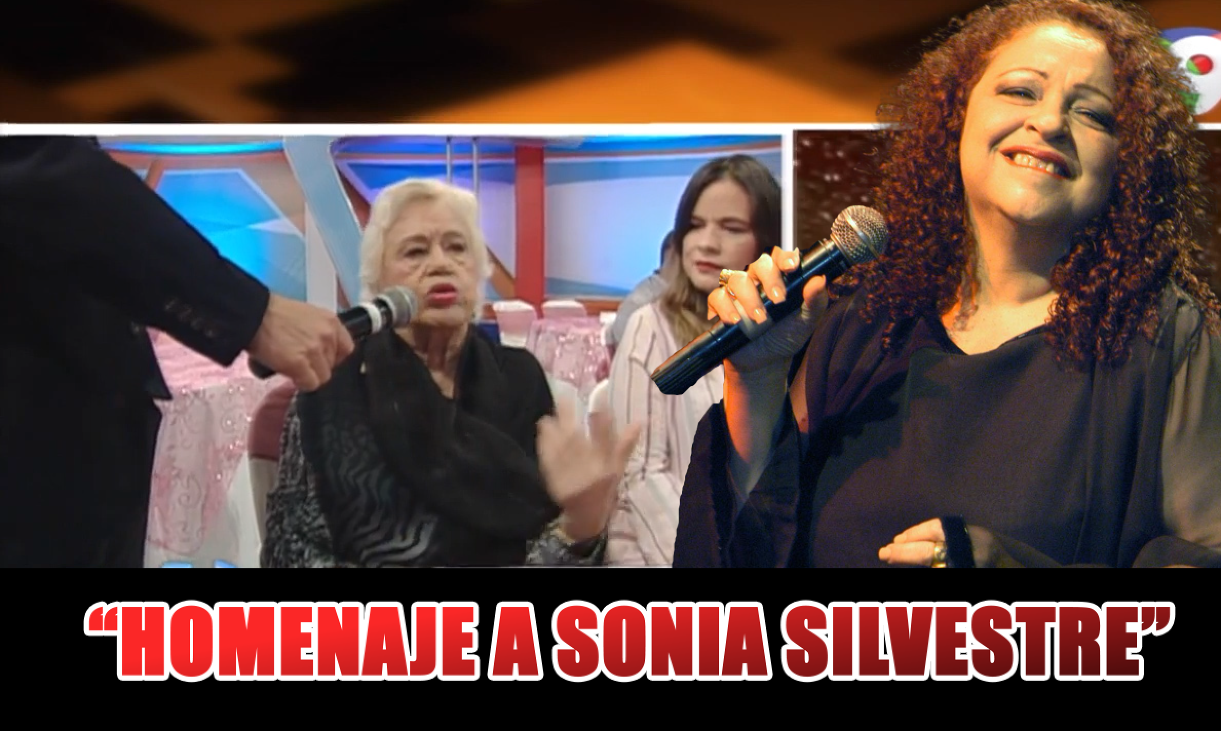 “HOMENAJE A SONIA SILVESTRE”  Milagros Ortiz Bosch Habla De Su Experiencia Con La Artista